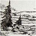 Bear Rocks at Dolly Sods, West Virginia