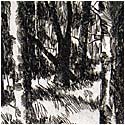 March Hillside
