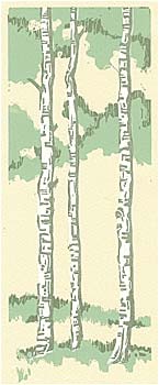 Alaskan Birches