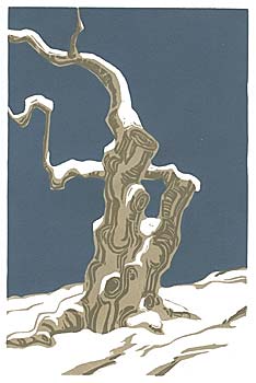 Cherry Trees - In the Snow