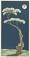 Cherry Trees - Spring Moon