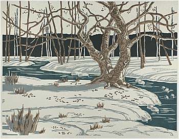 Winter Shadows
