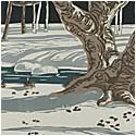 Winter Shadows