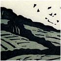 Wales -- fields with birds lifting