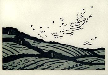 Wales -- fields with birds lifting