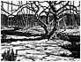 Winter Stream