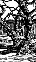 woodcut