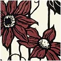 Dwayne's Clematis