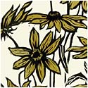 Rudbeckia